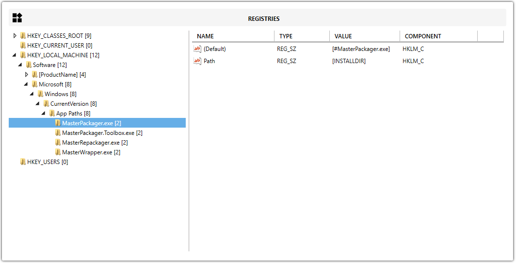 Master Packager Advanced editor - Registries view