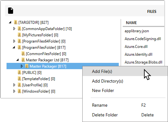 Master Packager Advanced Editor - Adding files and directories to MSI