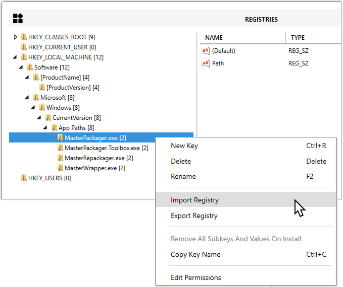 Master Packager Advanced editor - Registries view - Import Registry